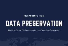 The Most Secure File Extensions for Long-Term Data Preservation