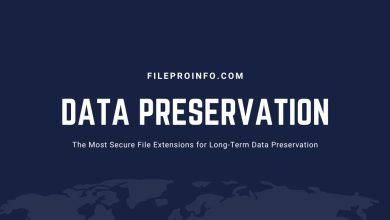 The Most Secure File Extensions for Long-Term Data Preservation