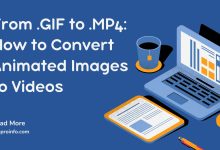 From .GIF to .MP4: How to Convert Animated Images to Videos
