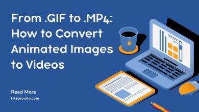 From .GIF to .MP4: How to Convert Animated Images to Videos