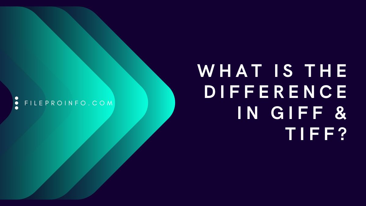 What Is the Difference in GIFF & TIFF? | FileProInfo Blogs