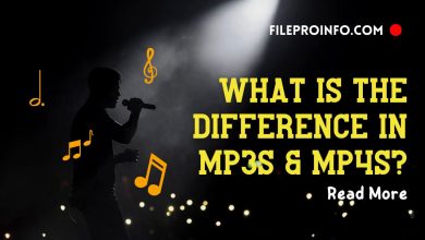 What Is the Difference in MP3s & MP4s?