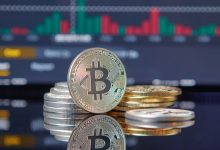 How Network Congestion Influences Bitcoin’s Market Volatility