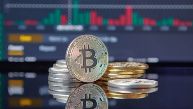 How Network Congestion Influences Bitcoin’s Market Volatility