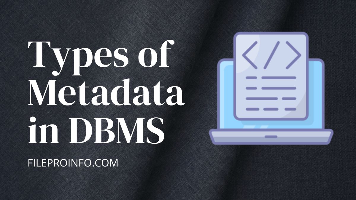 Types of Metadata in DBMS