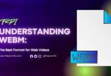Understanding WEBM: The Best Format for Web Videos