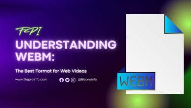 Understanding WEBM: The Best Format for Web Videos
