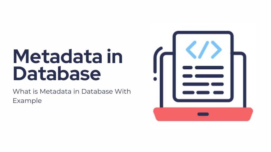 What is Metadata in Database With Example | FileProInfo Blogs