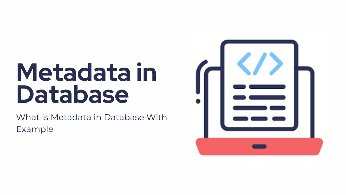 What is Metadata in Database With Example