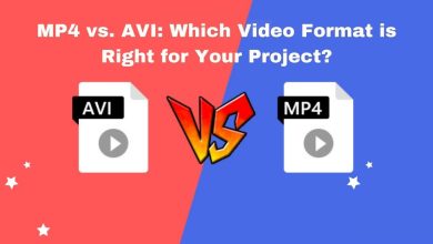 MP4 vs. AVI: Which Video Format is Right for Your Project?