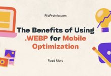 The Benefits of Using .WEBP for Mobile Optimization