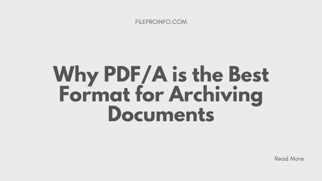 Why PDF/A is the Best Format for Archiving Documents | FileProInfo Blogs