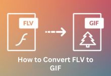 How to Convert FLV to GIF: A Comprehensive Guide