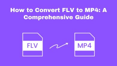 How to Convert FLV to MP4: A Comprehensive Guide