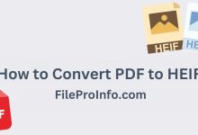 How to Convert PDF to HEIF: A Complete Guide