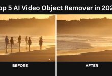 Top 5 AI Video Object Remover in 2024