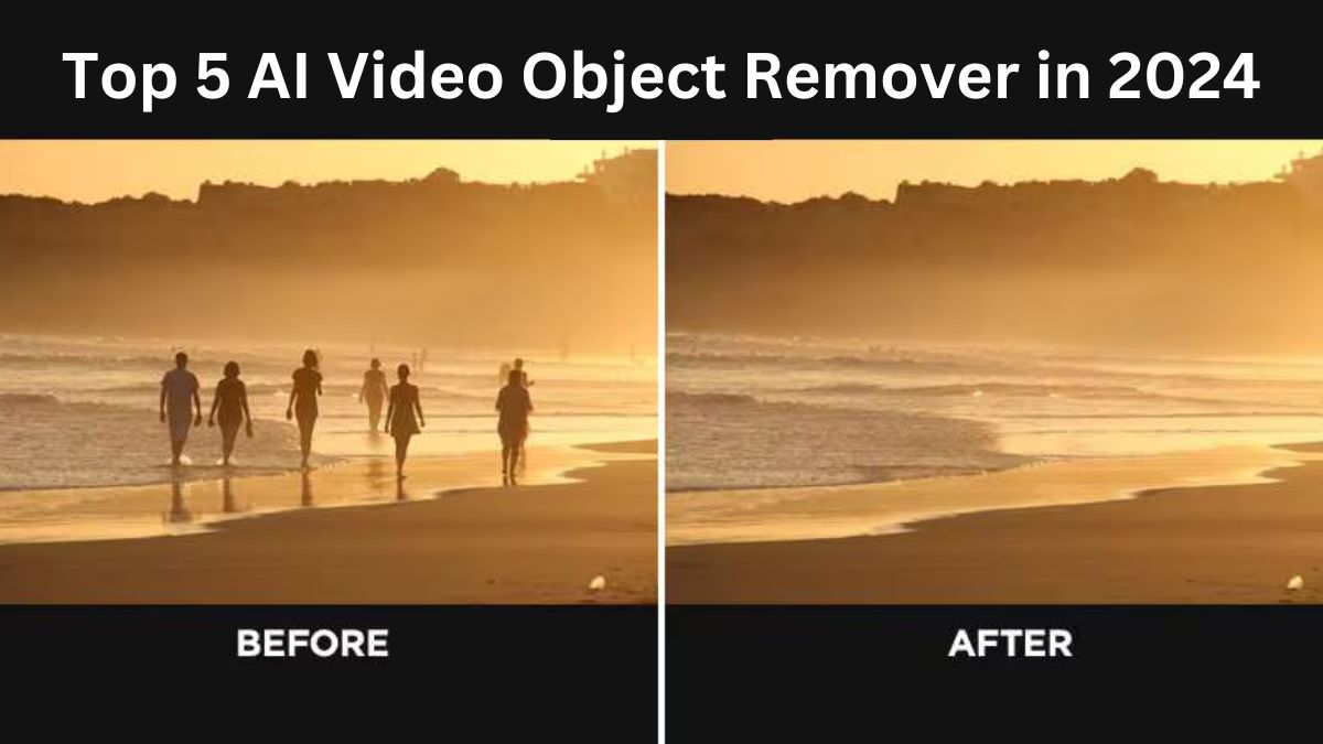 Top 5 AI Video Object Remover in 2024