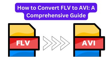 How to Convert FLV to AVI: A Comprehensive Guide