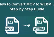 How to Convert MOV to WEBM: A Step-by-Step Guide