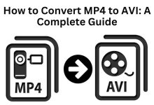 How to Convert MP4 to AVI: A Complete Guide