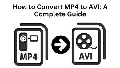 How to Convert MP4 to AVI: A Complete Guide