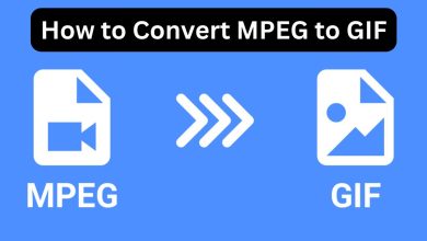 How to Convert MPEG to GIF: A Complete Guide Using FileProInfo