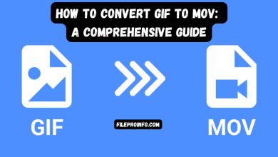 How to Convert GIF to MOV: A Comprehensive Guide