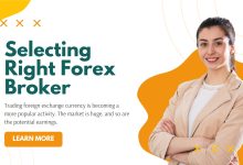 The Novice Traders’ Guide to Selecting the Right Forex Broker