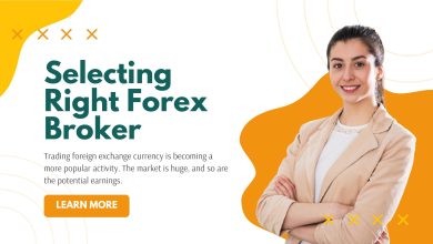The Novice Traders’ Guide to Selecting the Right Forex Broker