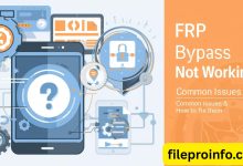 fileproinfo-FRP