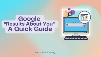 Google’s “Results About You” Tool How It Works and When to Use It -fileproinfo.com