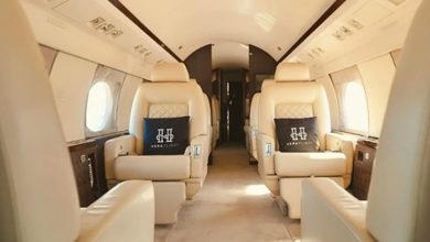 ARGUS, Wyvern, and Independent Aviation Audits