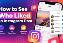 Instagram likes viewer showing how to review accounts that liked a public Instagram post