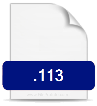 .113 file extension.