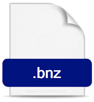 .BNZ file extension.