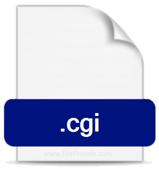 .CGI file extension.