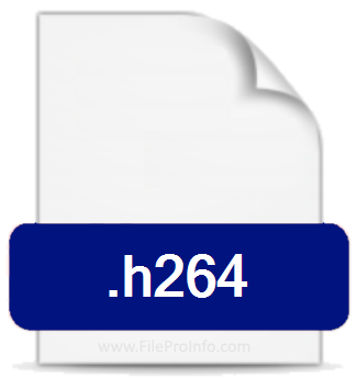 .H264 file extension.