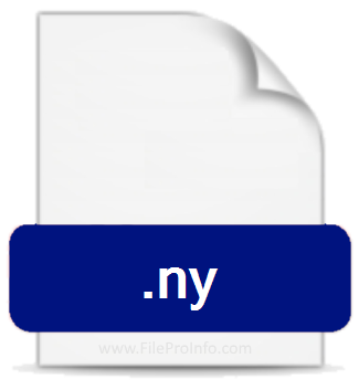 .NY file extension.