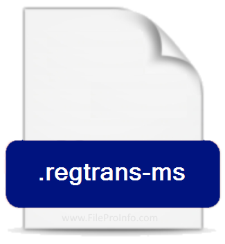 .REGTRANS-MS file extension.