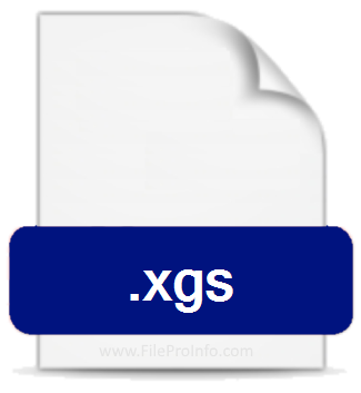 .XGS file extension.